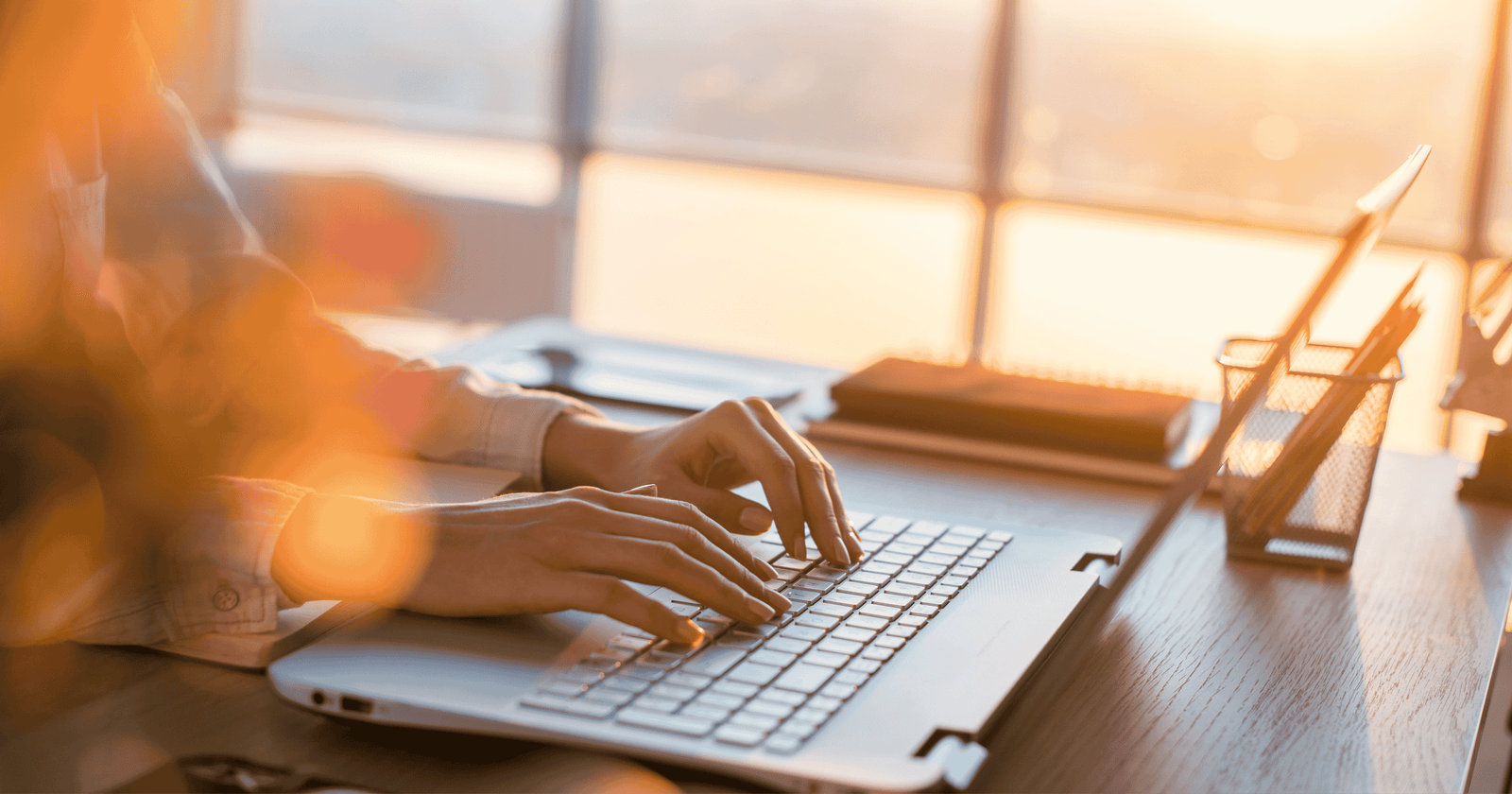 Govt Website (1)